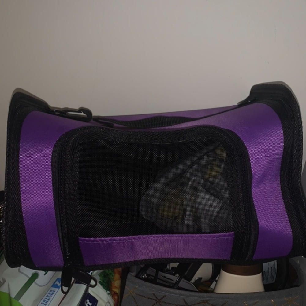 Purple Guinea pig carrier